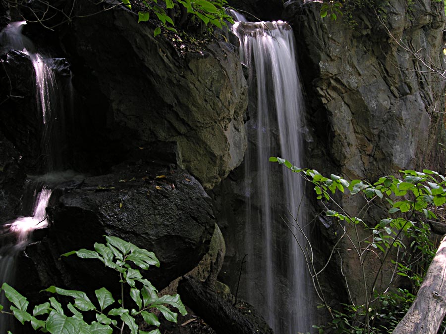 Natural Environment