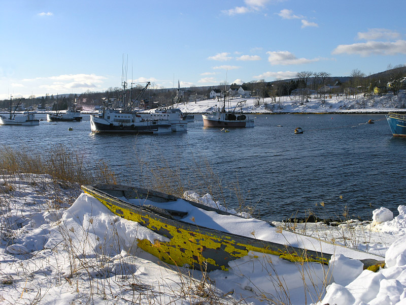Boats
