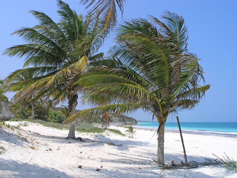 Caribean beach - escape the rain