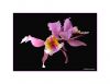 Cattleya mossiae