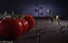 Tomatoscape