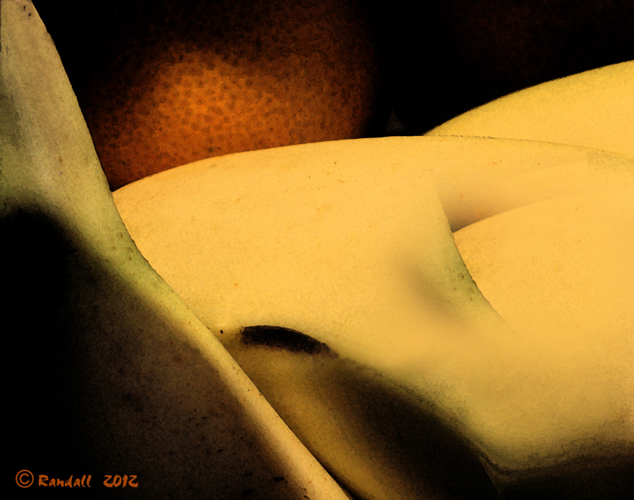 Still Life?
