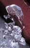 Ice Formation 358 by Randall Beaudin