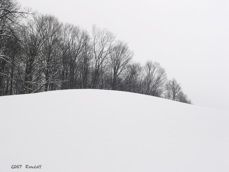 Scenic # 015