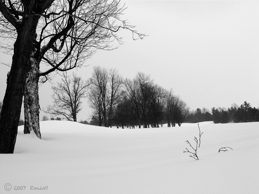 Winters Day # 953