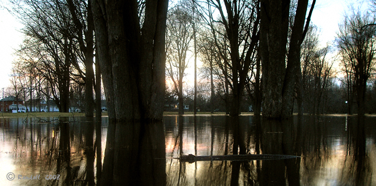 Flooded Sunset