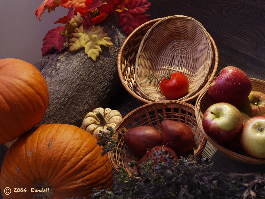 Fall Colours Still Life #050
