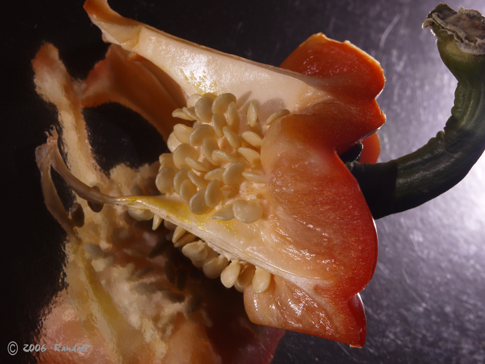 Red Pepper # 406