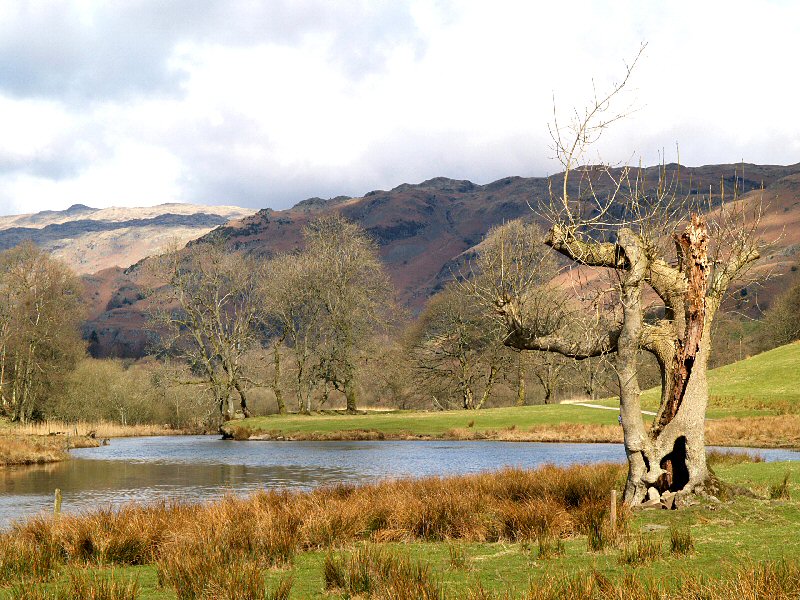 Lake District view 1