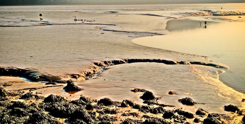 Yealm Estuary 2