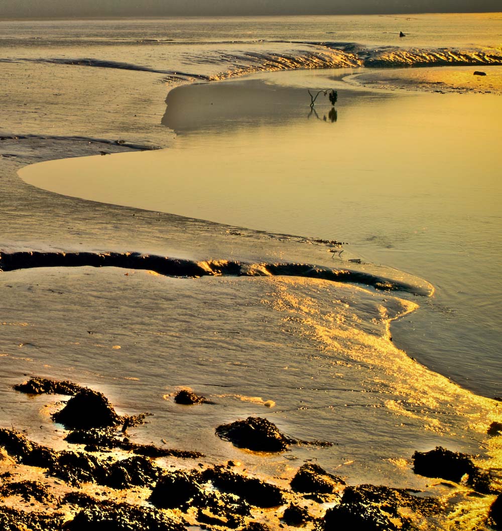 Yealm Estuary 1