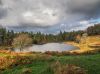 Tarn Hows English Lake District.
