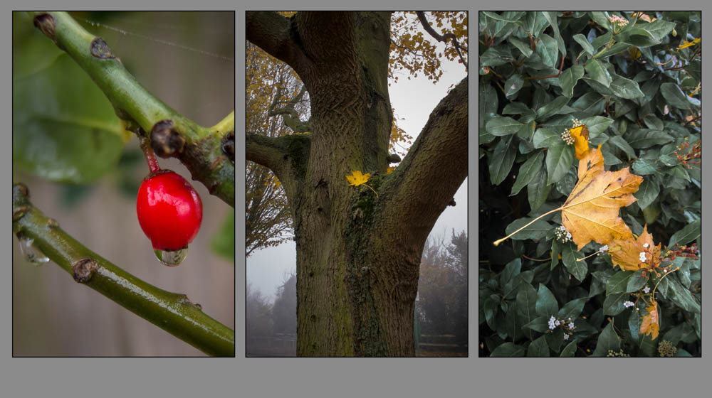Autumn