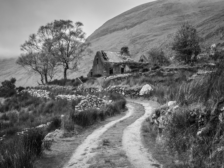 Derelict Cottage, Ireland