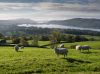 Lake District view. by Dave Hall