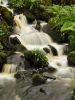 Mull waterfall by Dave Hall