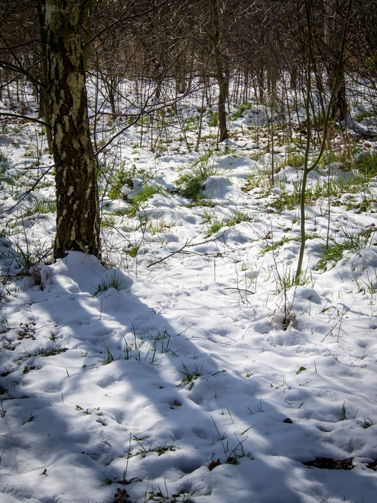 Snow shadows.