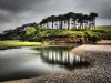 Budleigh Salterton trees by Dave Hall