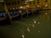 Gondolas by Dave Hall