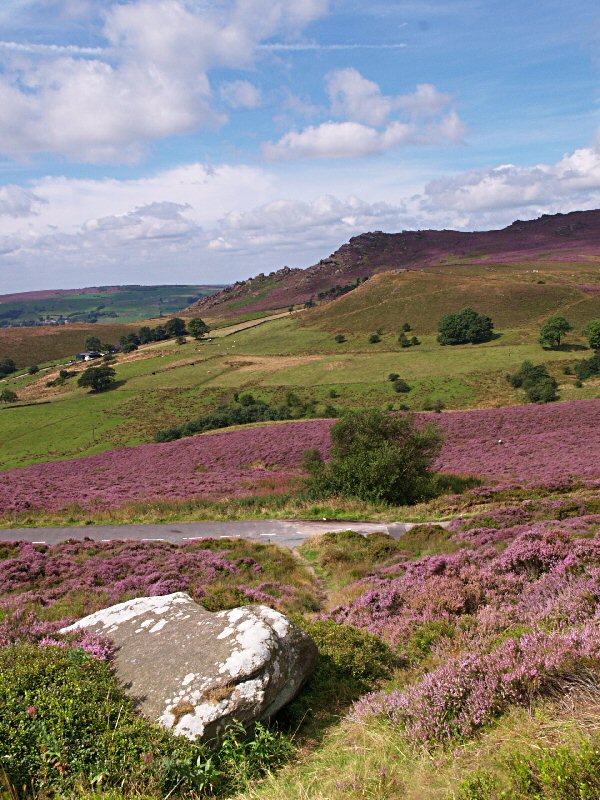 Peak District View