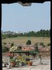 View from hospice window. by Dave Hall