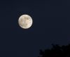 Moon 2
