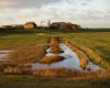 View at Elmley Nature Reserve. by Dave Hall