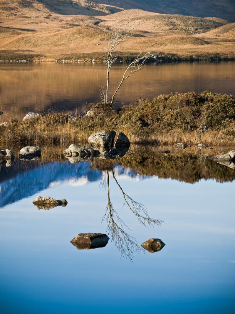 Double take on Rannoch Moor