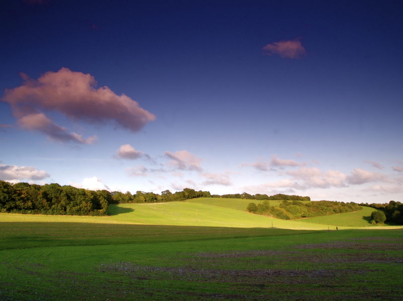 Towards Ranscome Farm.