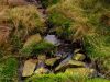 Peak District stream