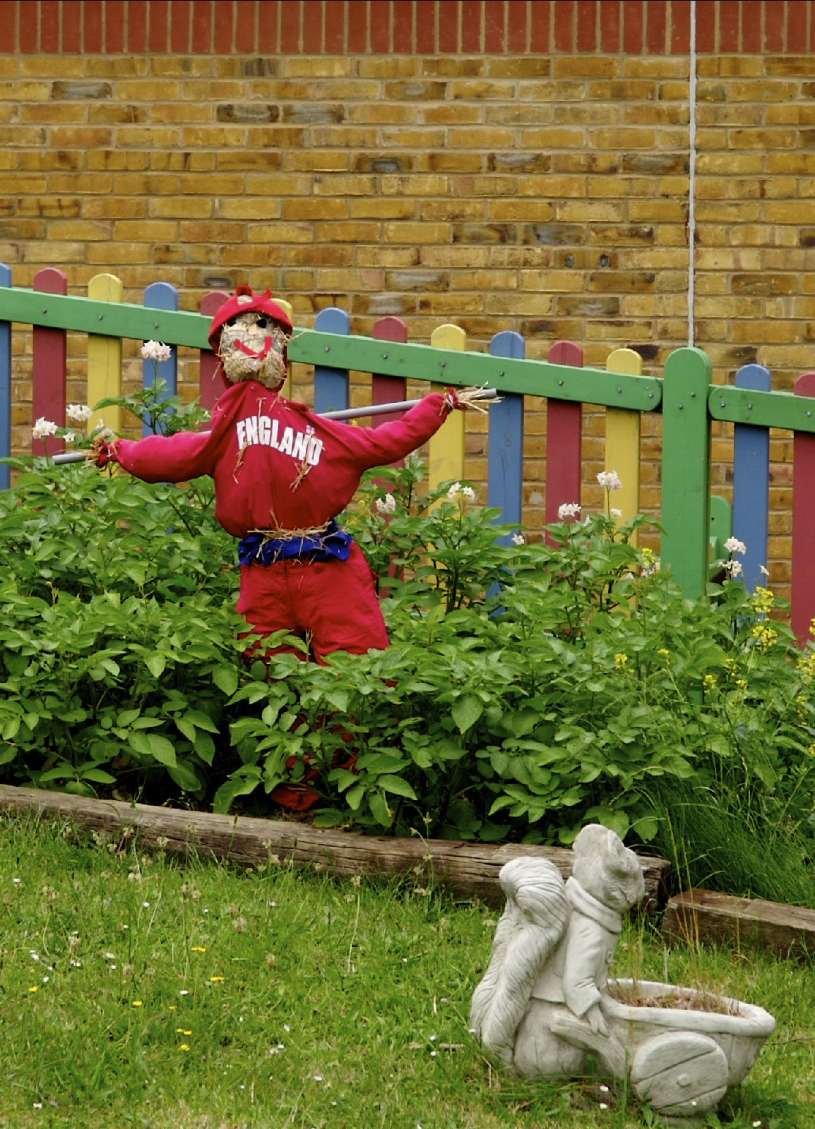 Scarecrow in potato patch