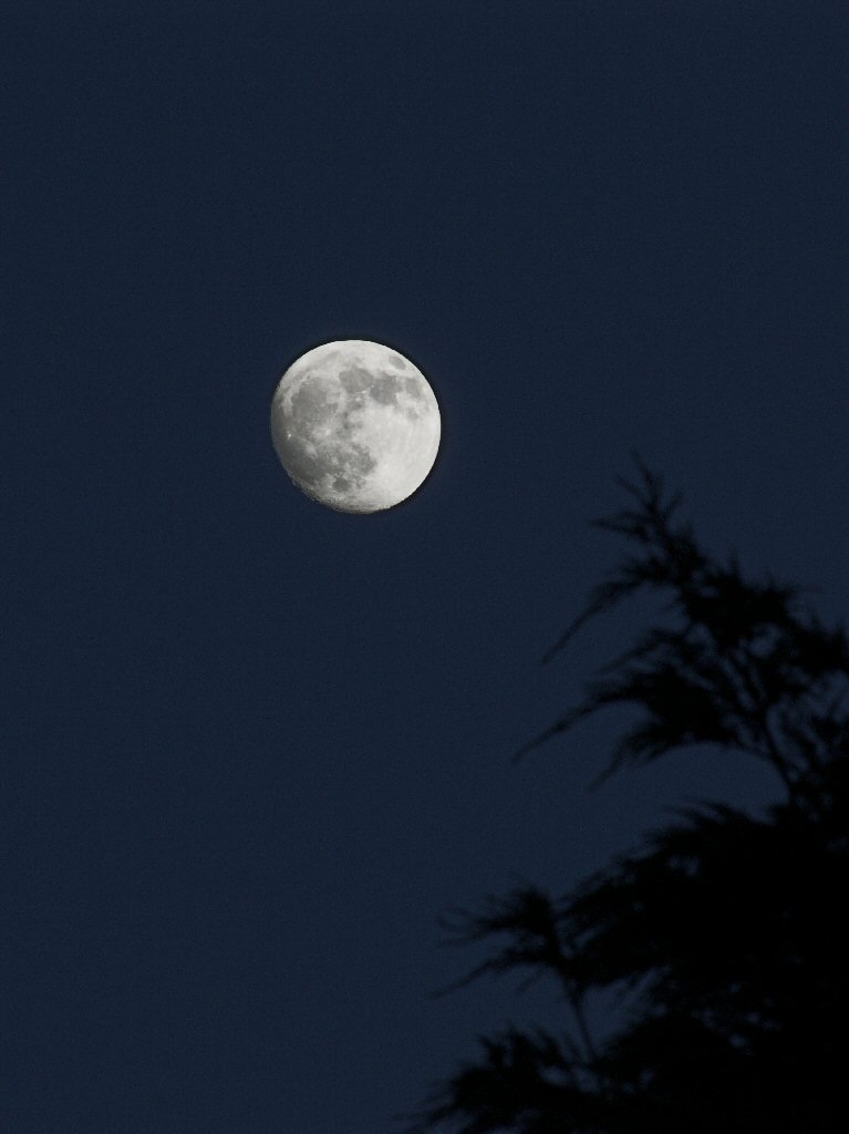Moon