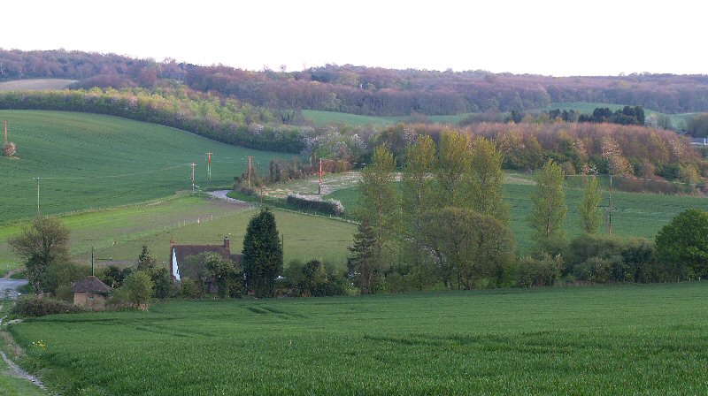 Early evening, Upper Bush