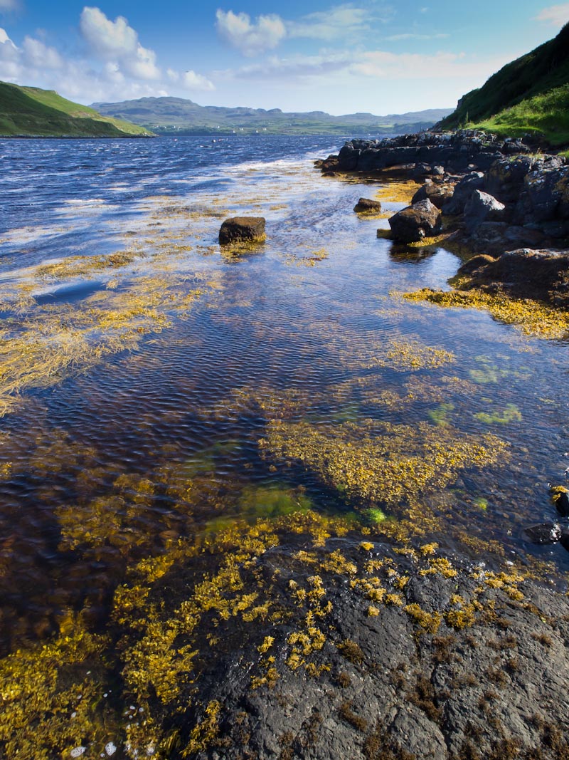 Sreascape on Skye