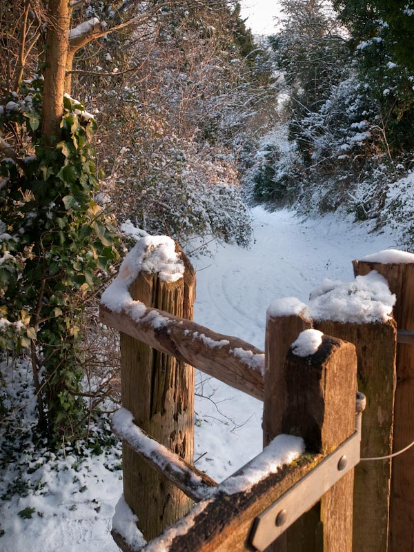 Snow Gate