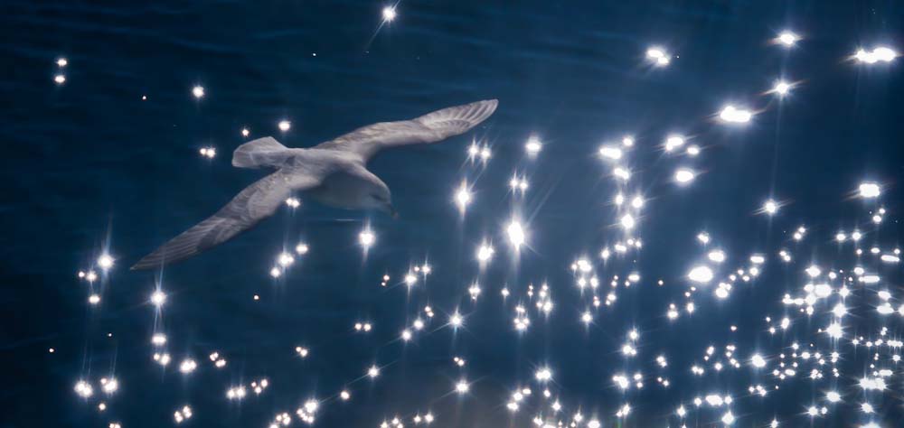 Sparkle