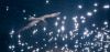 Sparkle