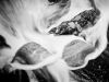 Maelstrom by Dave Hall