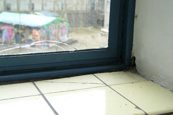 Window