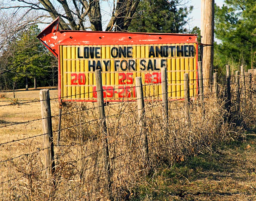 Hay For Sale
