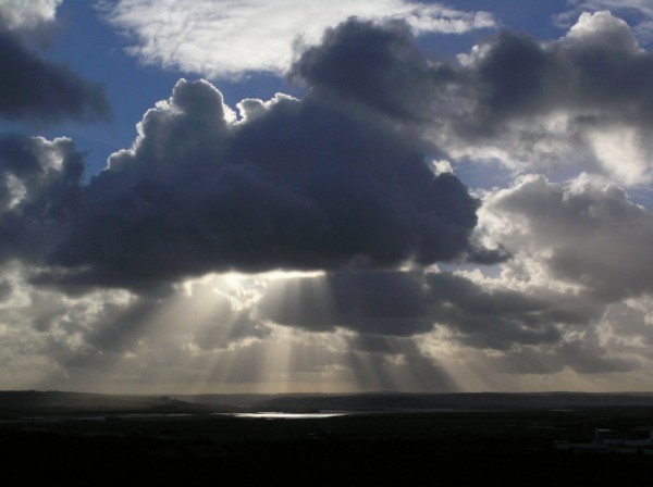 Torridge Sunburst #3