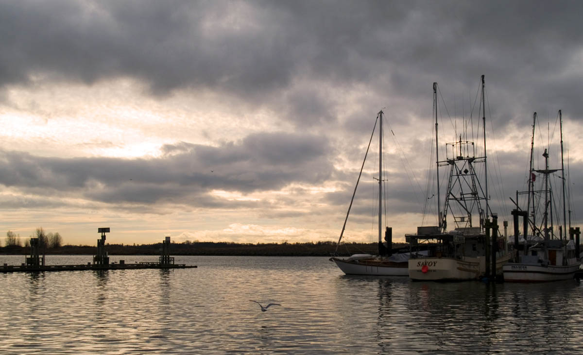 Harbour