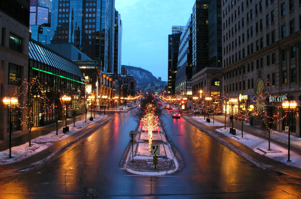 The City Light