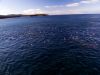 Flying with the sea