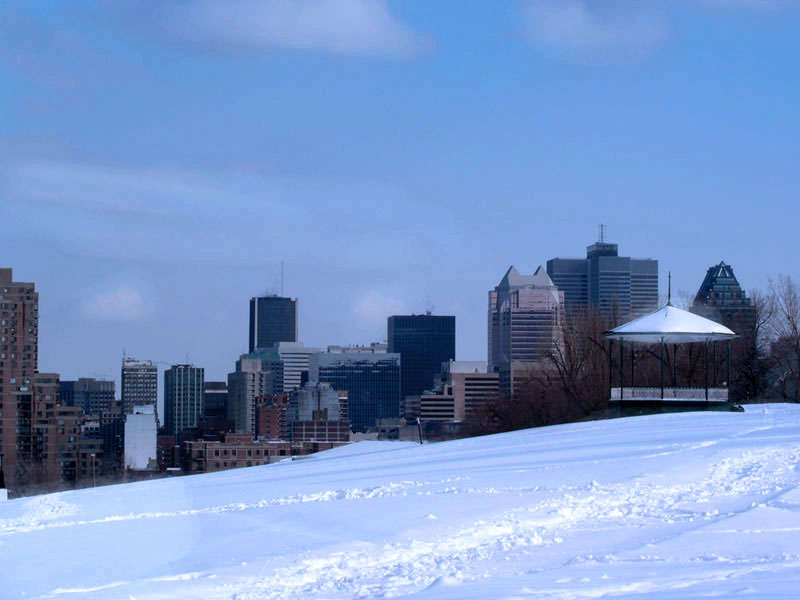 Mt.Royal