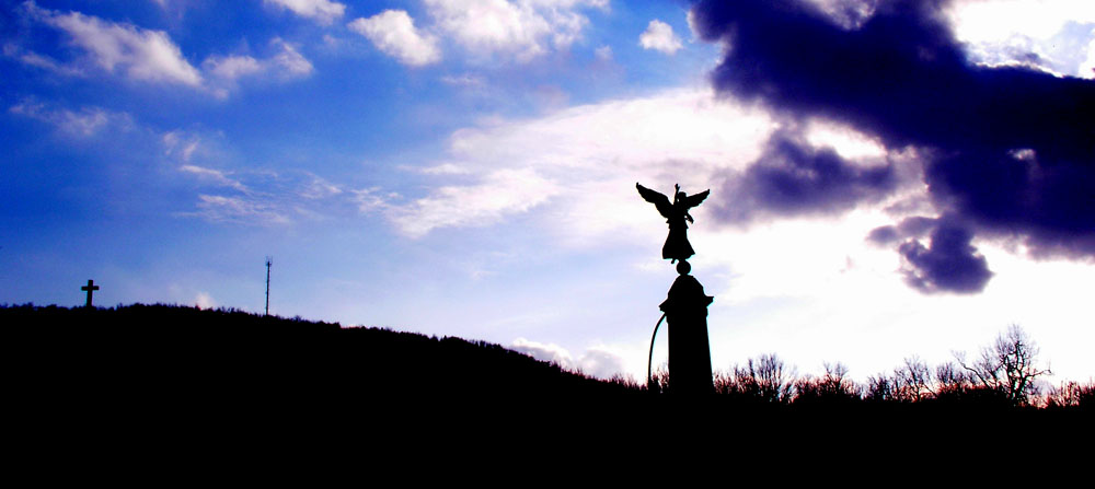 Mt.Royal2