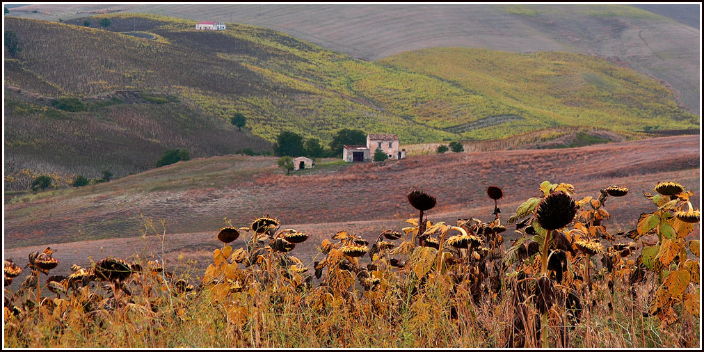 Evening landscape