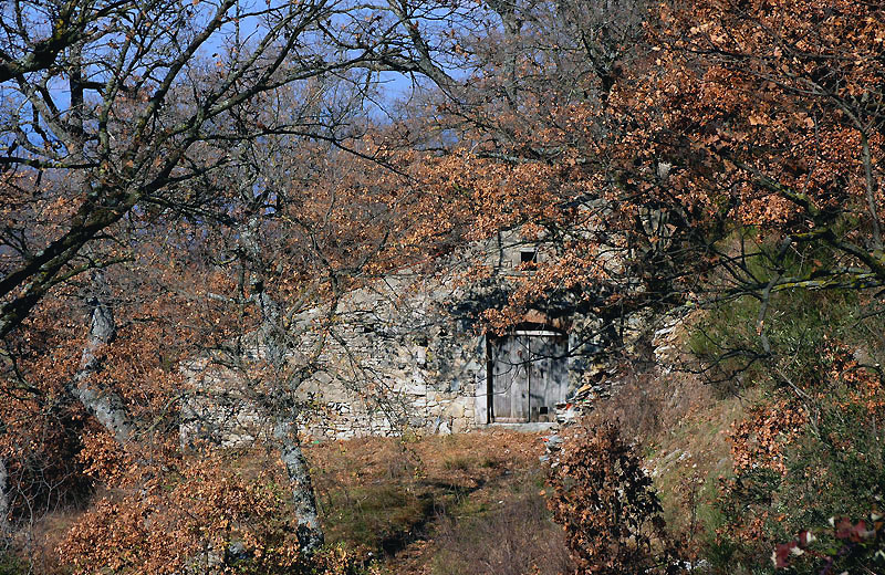 The house