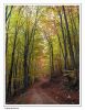 Welcome autumn