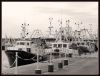 The fishing boats by Sergio Di Giovanni